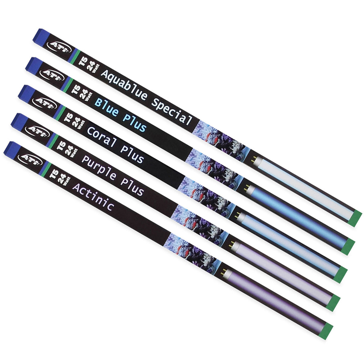 ATI Blue Plus T5 Bulbs – ATI North America